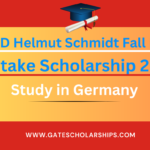 DAAD Helmut Schmidt Fall Intake Scholarship 2025
