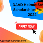 DAAD Helmut Schmidt Scholarships Program 2024/25