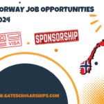 Visa Sponsorship job