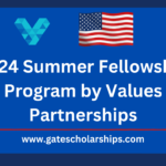 2024 Summer Fellowship Program by Values Partnerships