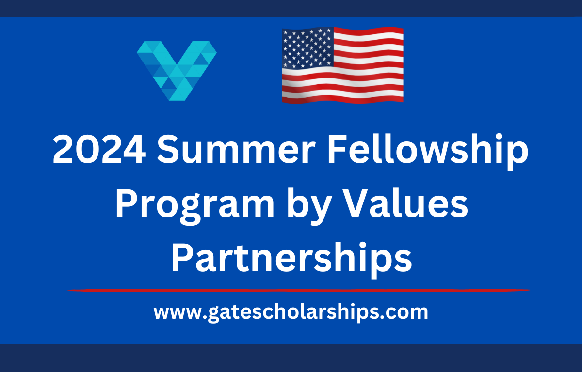 2024 Summer Fellowship Program by Values Partnerships 2024 Summer Fellowship Program by Values Partnerships