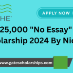 Niche No Essay Scholarship 2024 - $25,000