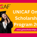 UNICAF Online Scholarships Program 2024