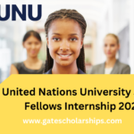 United Nations University Junior Fellows Internship 2024