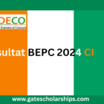 Résultat BEPC 2024 CI : Consultez Vos Résultats avec le Numéro Matricule sur www.men-deco.org