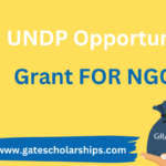 UNDP opportunity grant for NGOs