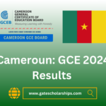Cameroun: GCE 2024 Results