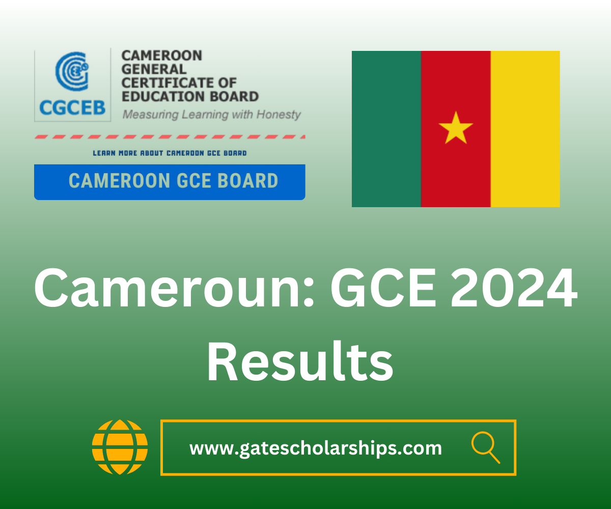 Cameroun: GCE 2024 Results