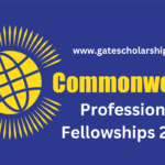 Commonwealth Professional Fellowships 2025