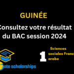 Consultez votre résultat du BAC session 2024 Sciences sociales Franco arabe