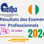 Résultats des Examens Professionnels 2024 au Côte d'Ivoire