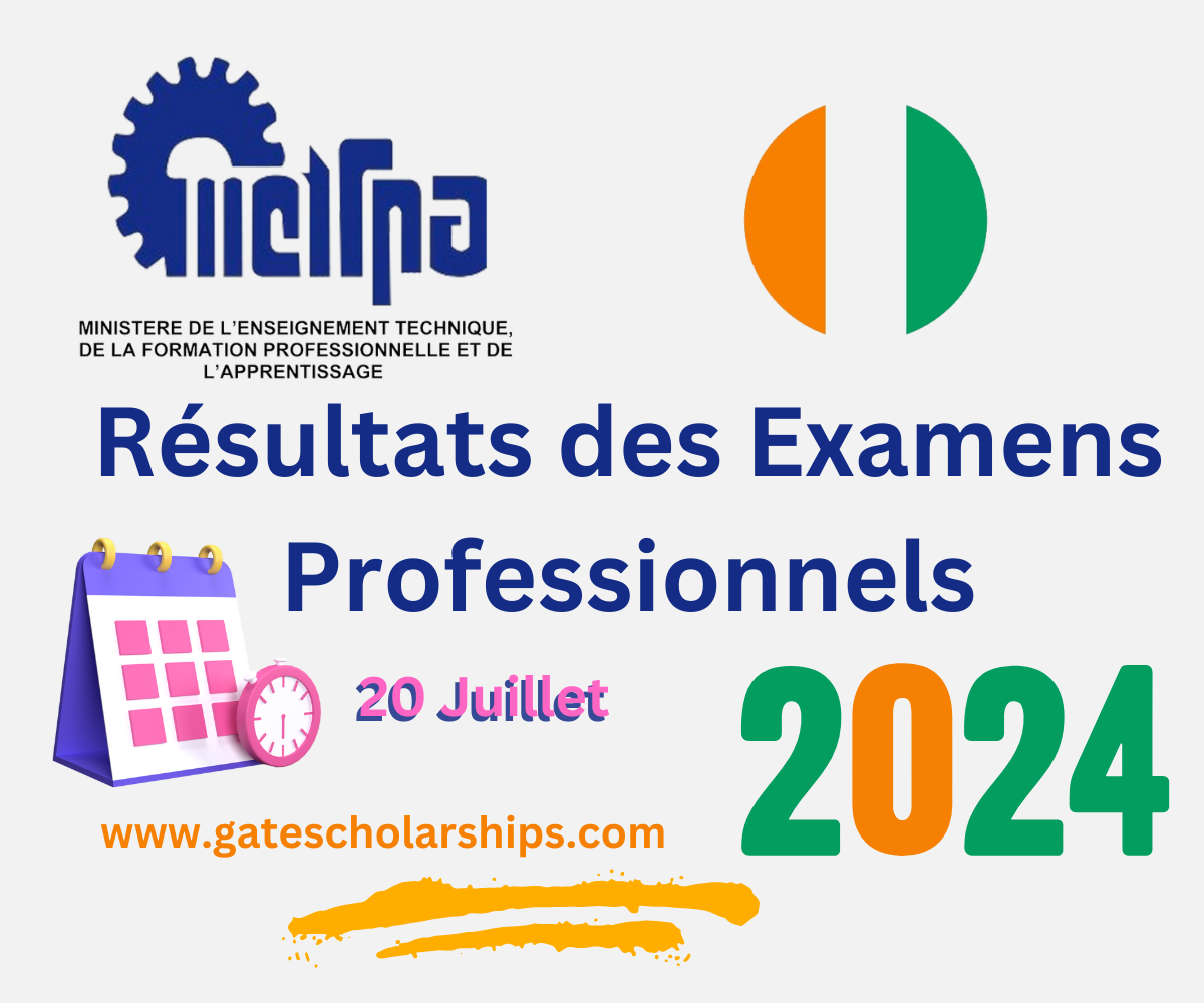Résultats des Examens Professionnels 2024 au Côte d'Ivoire