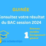 Consultez votre résultat du BAC session 2024 Sciences sociales Enseignement général sur dgecsresultats.com