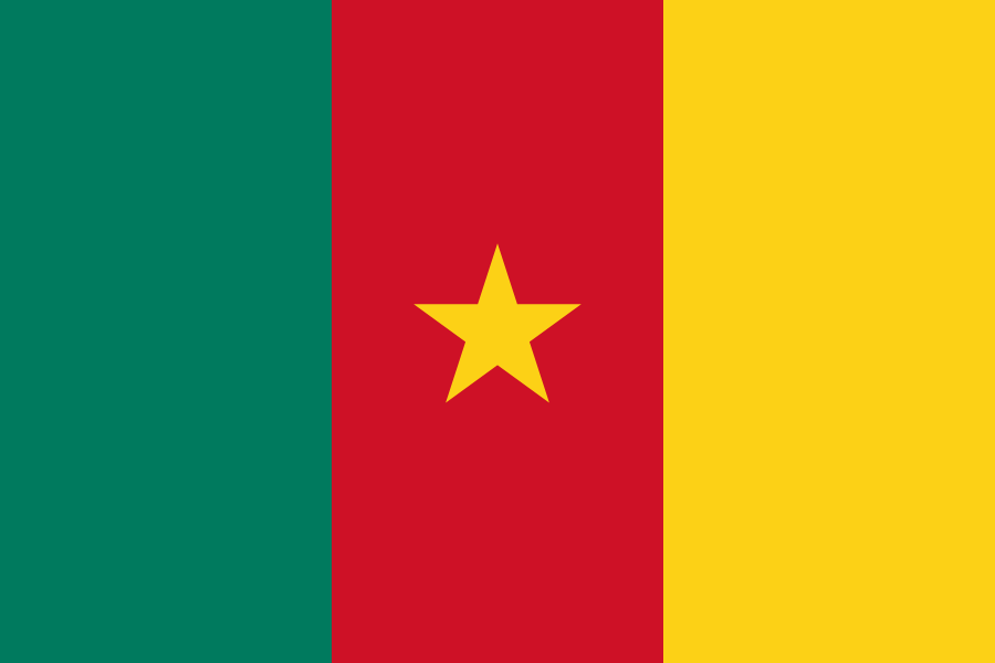 Résultats bepc 2024 au cameroun - Listé des admis